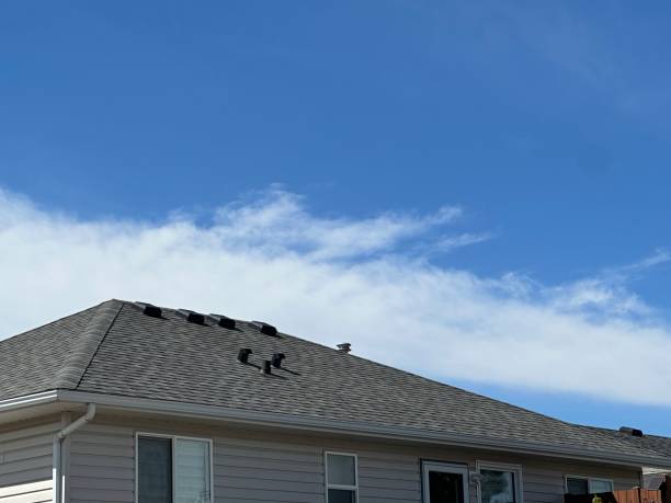 Best Storm Damage Roof Repair  in , AR